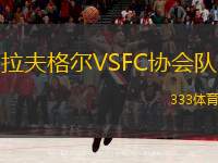 拉夫格尔VSFC协会队